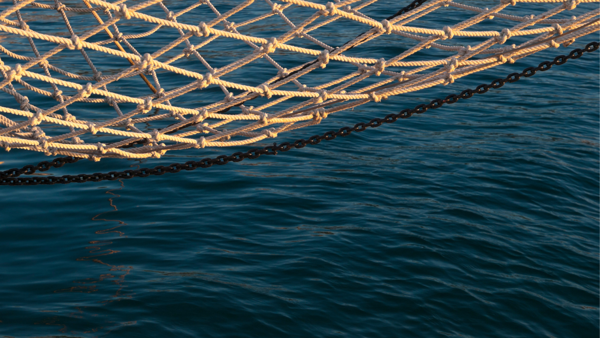 Hearing Announcement: Dark Nets, Illicit Labor—Confronting China’s IUU Fishing and Seafood Supply Chain