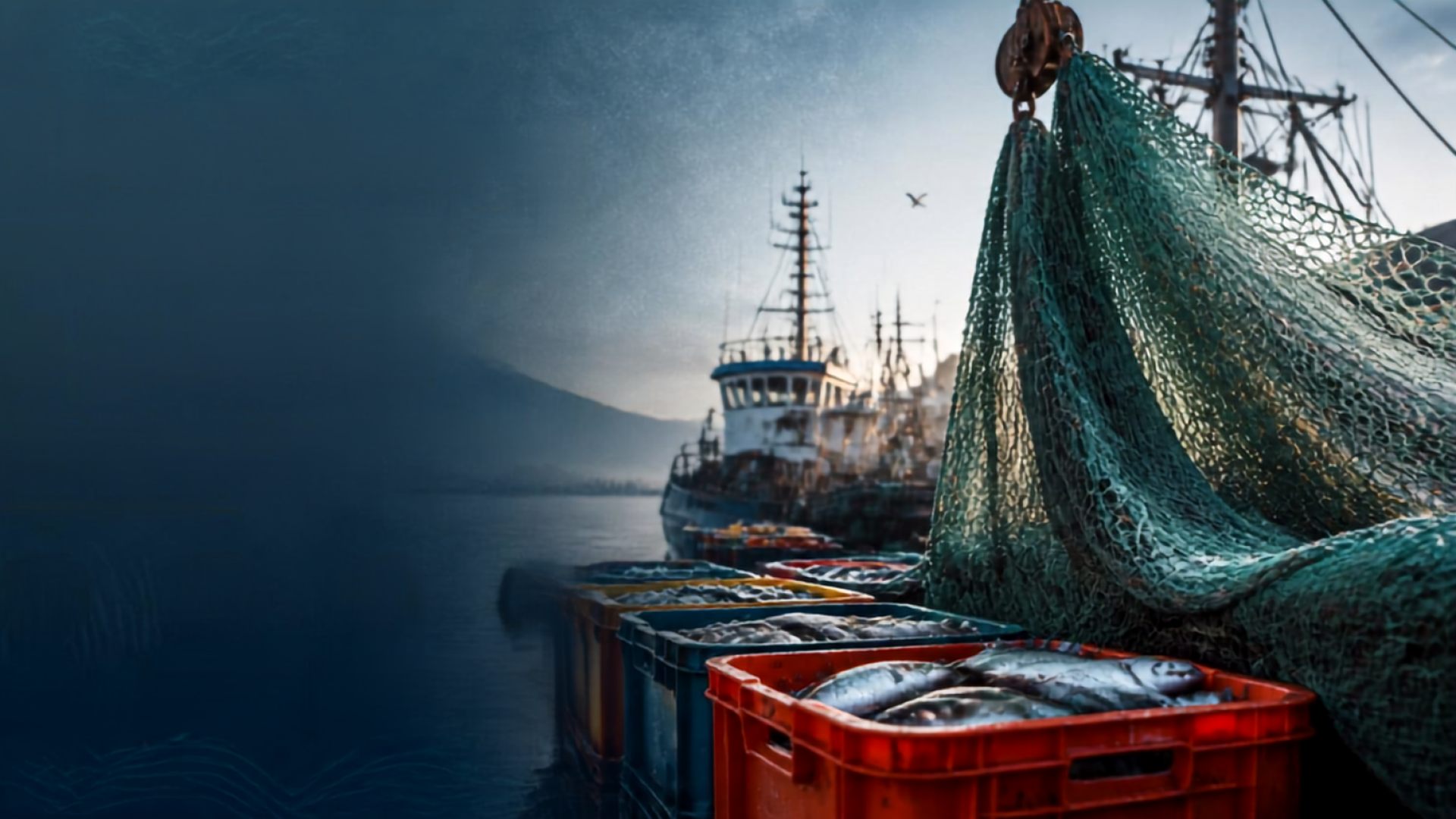 COMMISSIONERS URGE PRESIDENT TO BAR CHINESE SEAFOOD LINKED TO FORCED LABOR AND ILLEGAL FISHING