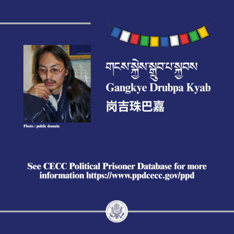 Chinmonitor6-ppd Gangkye Drubpa Kyab