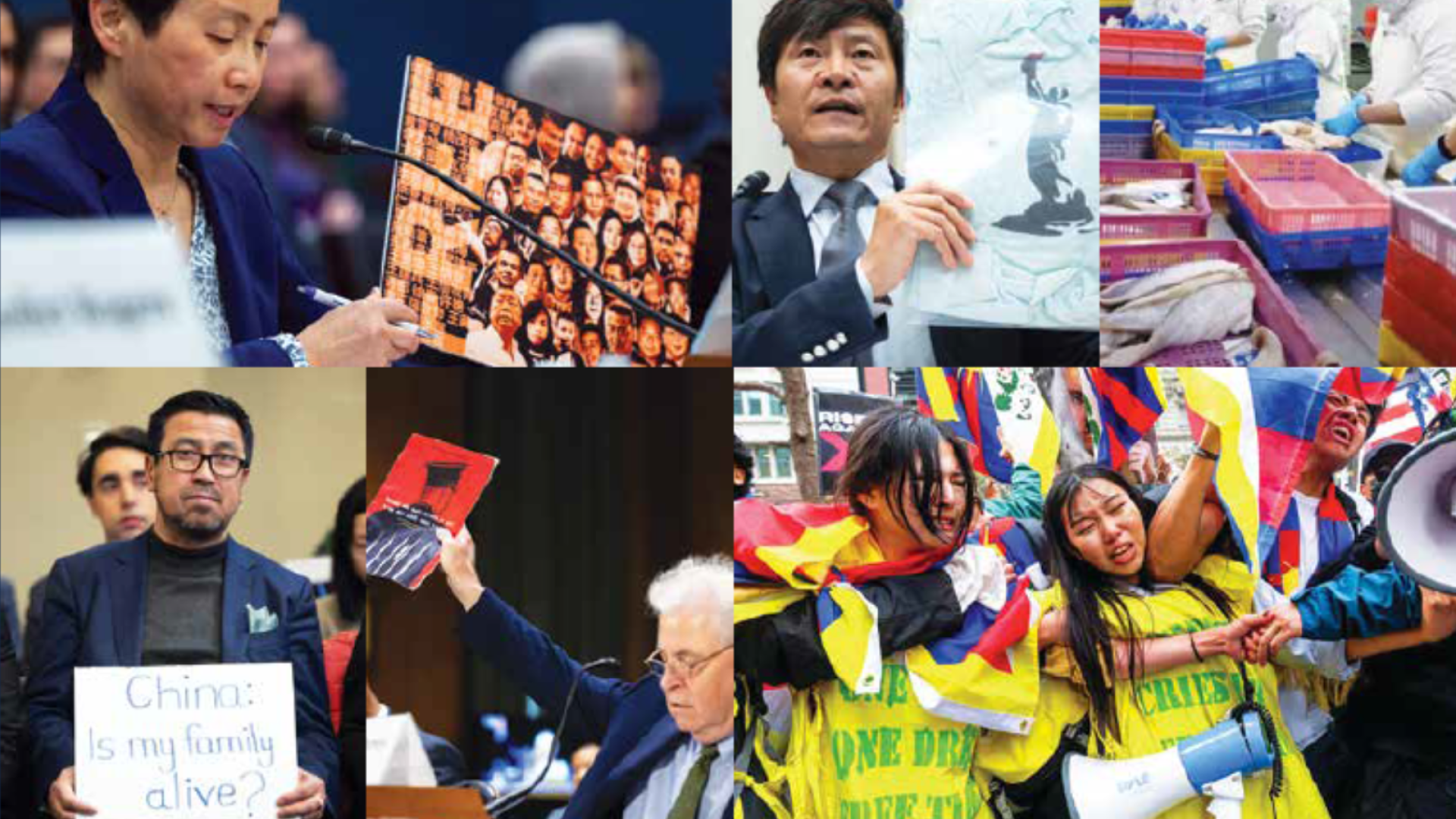 Annual Report 2024 -- Executive Summary